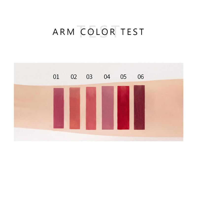 6PCS Matte Liquid Gloss Lipstick Set, Long-Lasting Moisturize Waterproof Shiny Non Sticky for Women Girls Christmas Gift Makeup Lipgloss Lip Care